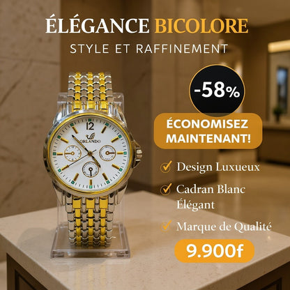 Montre Femme Luxe Bicolore